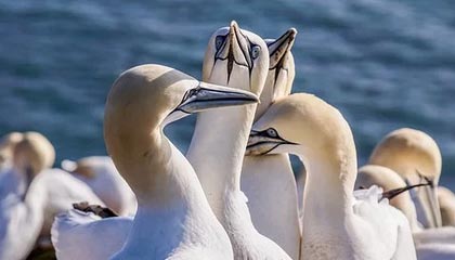 华体会：让健康成为日常的仪式，遇见更好的自己